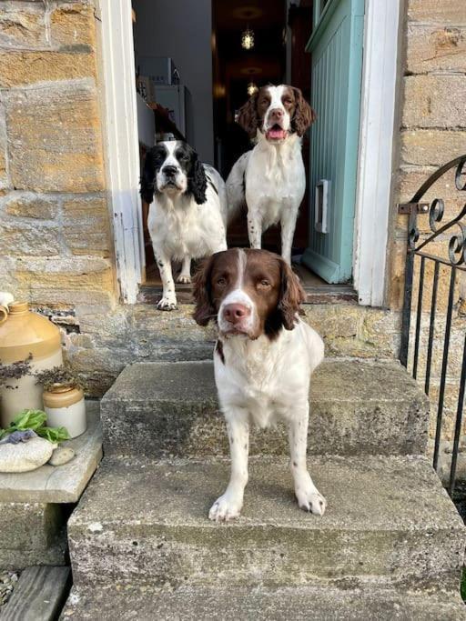 Spaniel Cottage With Views Of Ham Hill, Stoke Sub Hamdon Martock Екстер'єр фото