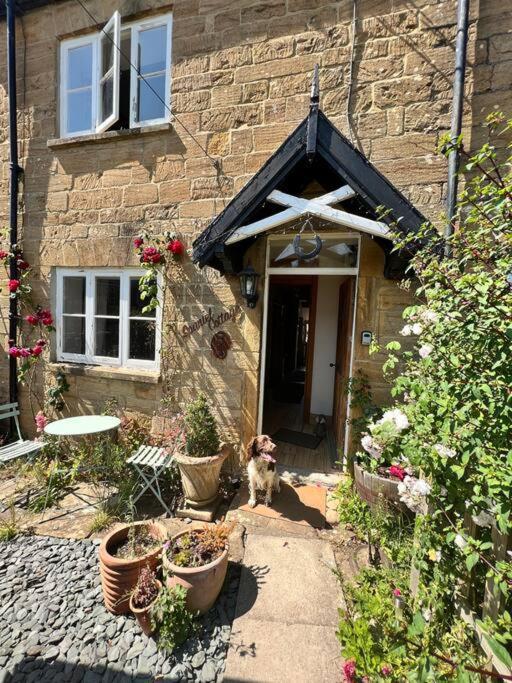 Spaniel Cottage With Views Of Ham Hill, Stoke Sub Hamdon Martock Екстер'єр фото