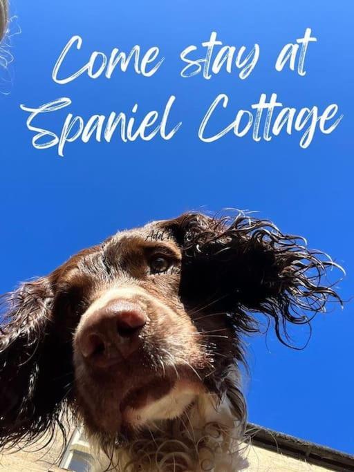 Spaniel Cottage With Views Of Ham Hill, Stoke Sub Hamdon Martock Екстер'єр фото