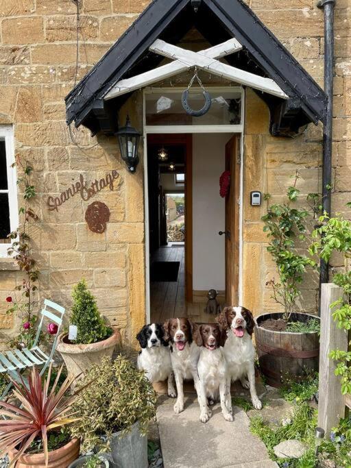 Spaniel Cottage With Views Of Ham Hill, Stoke Sub Hamdon Martock Екстер'єр фото